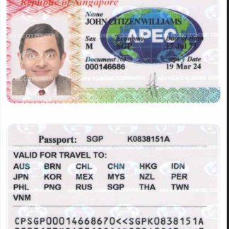 SINGAPORE business travel card download template file