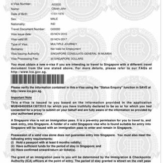SINGAPORE e visa download template file