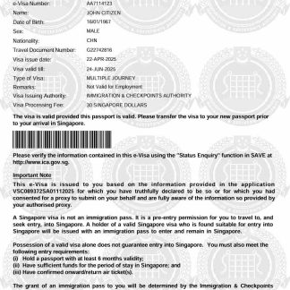 Singapore e visa template in Word and PDF formats download template file