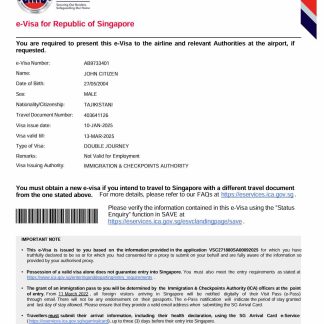 Singapore e visa template in Word and PDF formats, version 2 download template file