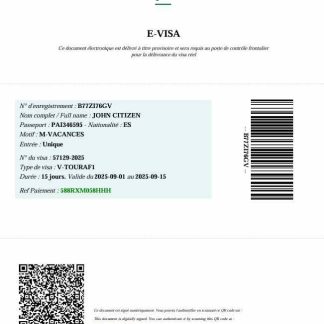 Togo e visa template in Word and PDF formats download template file