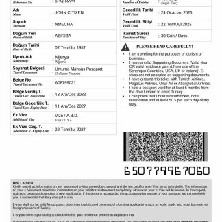 Turkey e visa template in Word and PDF formats download template file