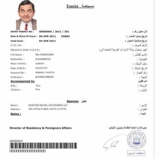 UAE e visa download template file