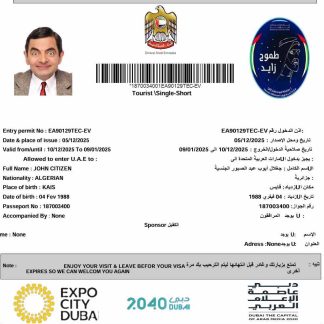 UAE e visa template in Word and PDF formats, version 2 download template file
