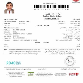 UAE e visa template in Word and PDF formats, version 3 download template file