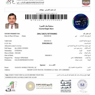 UAE e visa template in Word and PDF formats, version 5 download template file