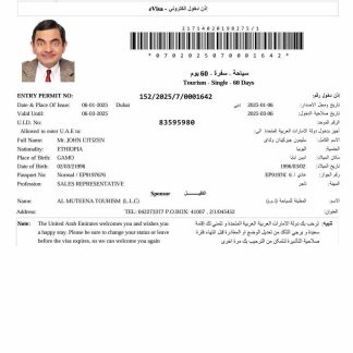 UAE e visa template in Word and PDF formats, version 8 download template file