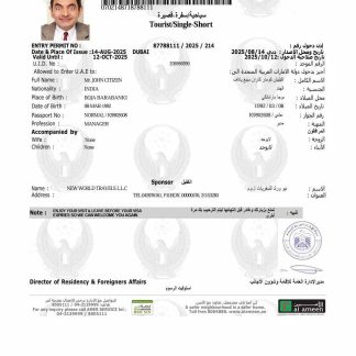 UAE e visa template in Word and PDF formats, version 9 download template file