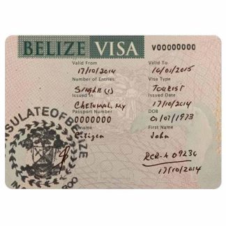 BELIZE visa (2) download template file