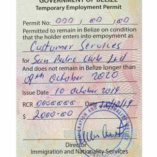 BELIZE work visa download template file