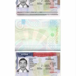 USA Tourist Visa download template file