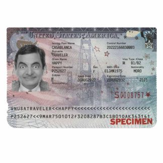 USA visa 2022 present download template file