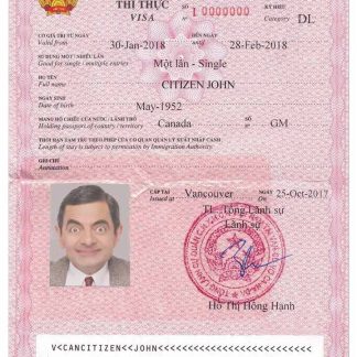 VIET NAM visa version 2 download template file