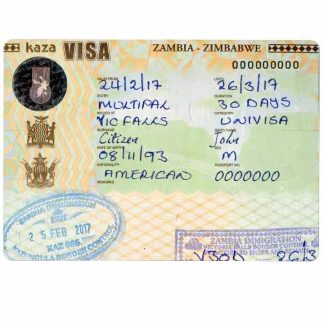 ZAMBIA e visa download template file