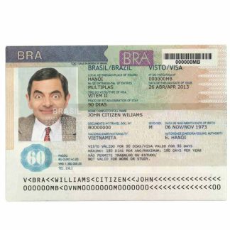 BRAZIL visa version2 download template file
