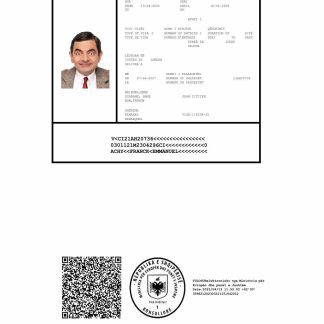 Albania e visa template in Word and PDF formats, version 2 download template file