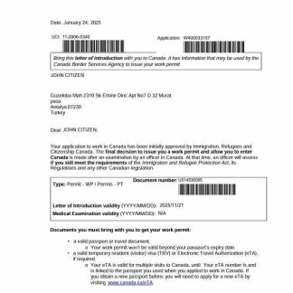 Canada e visa template in Word and PDF formats download template file