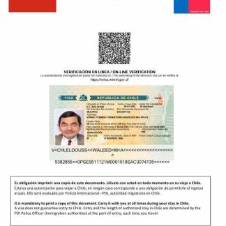 Chile e visa template in Word and PDF formats download template file