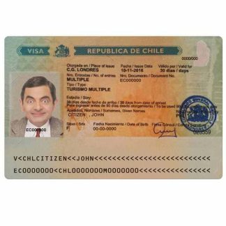 CHILE tourism visa download template file