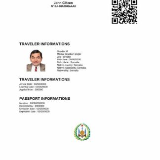 Djibouti e visa in Word and PDF template download template file