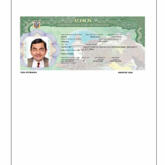 Ecuador travel visa template in Word and PDF formats, version 3 download template file