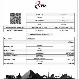 EGYPT e visa download template file