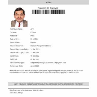 Ethiopia e visa template in Word and PDF formats download template file